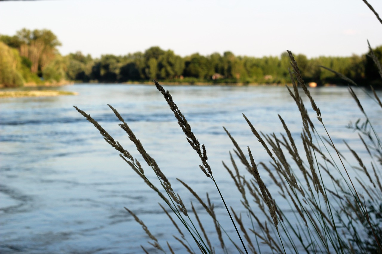 river water stream free photo