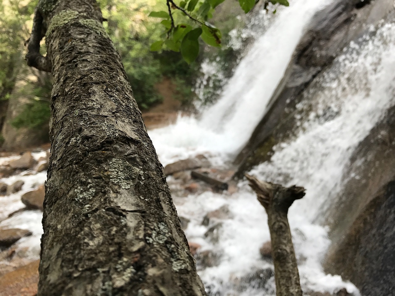 river summer trail free photo