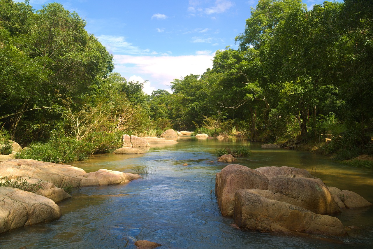 river flow nature free photo