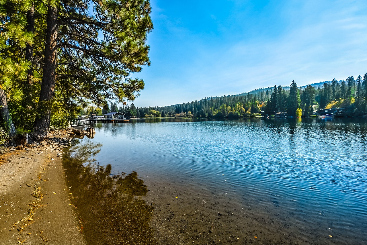 river shore shoreline free photo