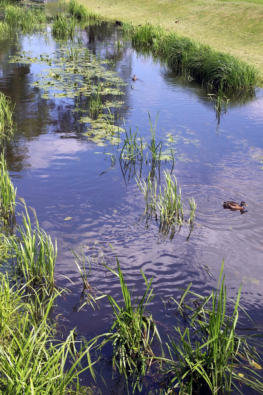 river torrent water free photo