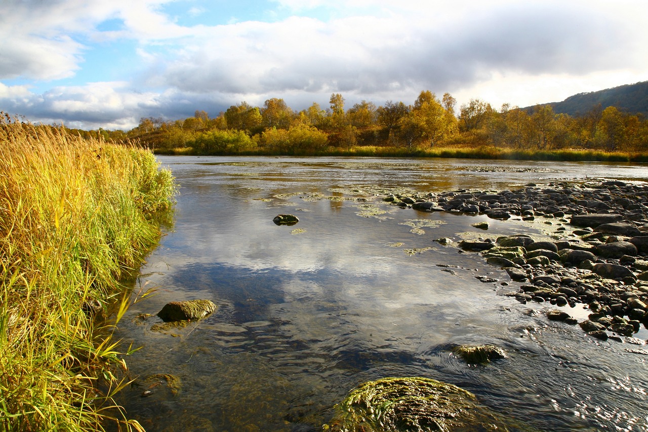 river back on track for free photo