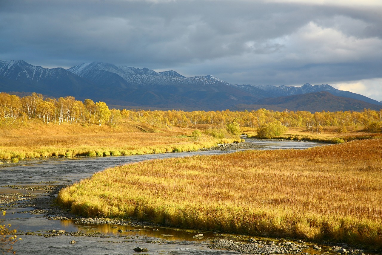 river back on track for free photo