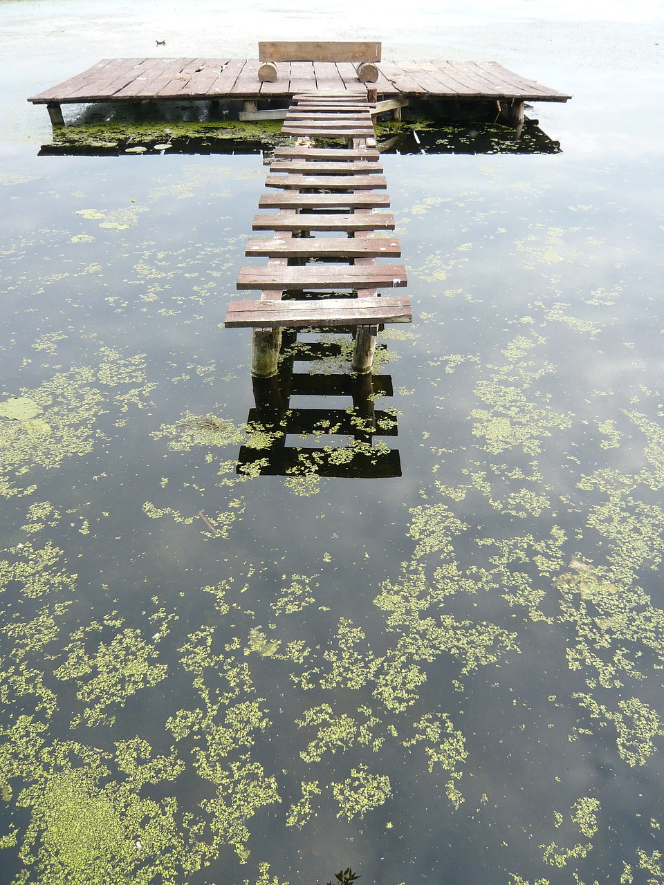 river bridge landscape free photo