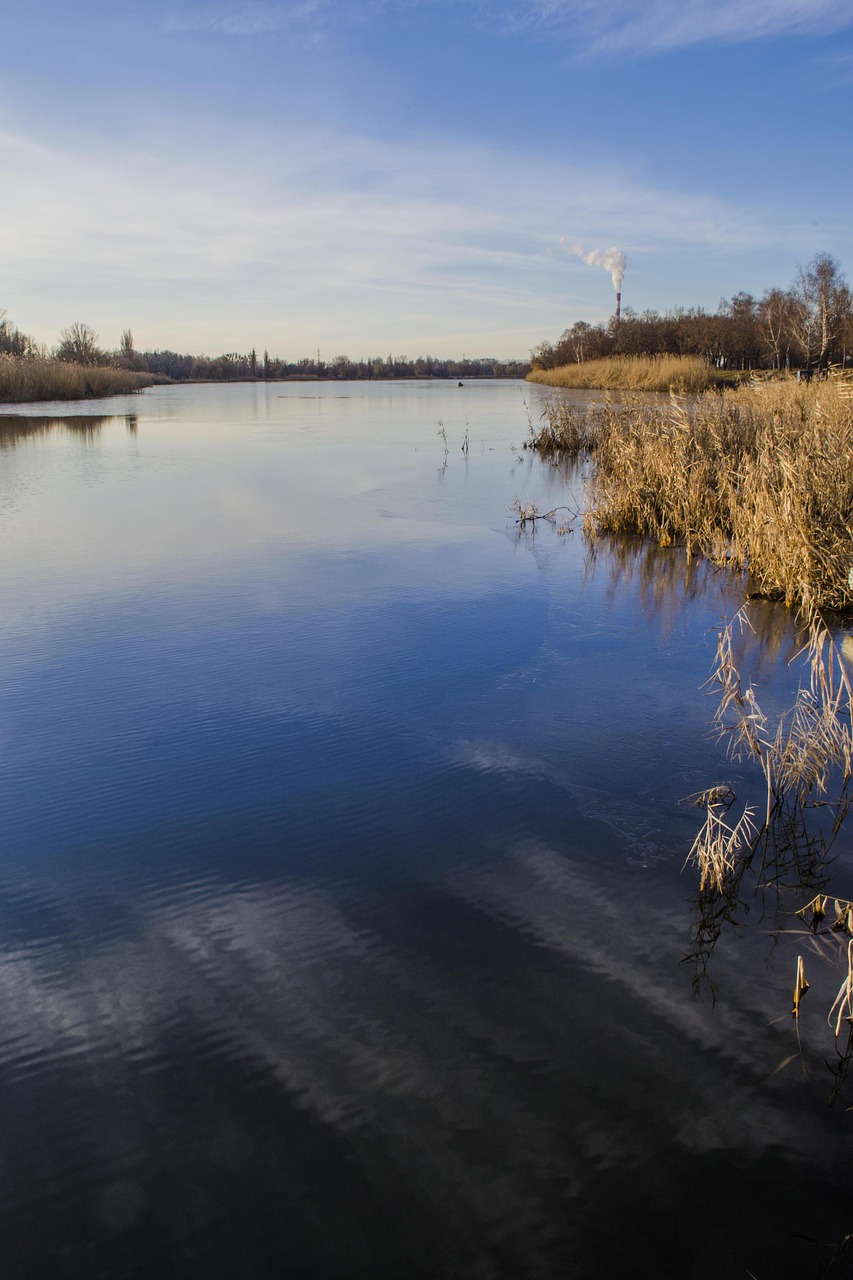 river for shore free photo