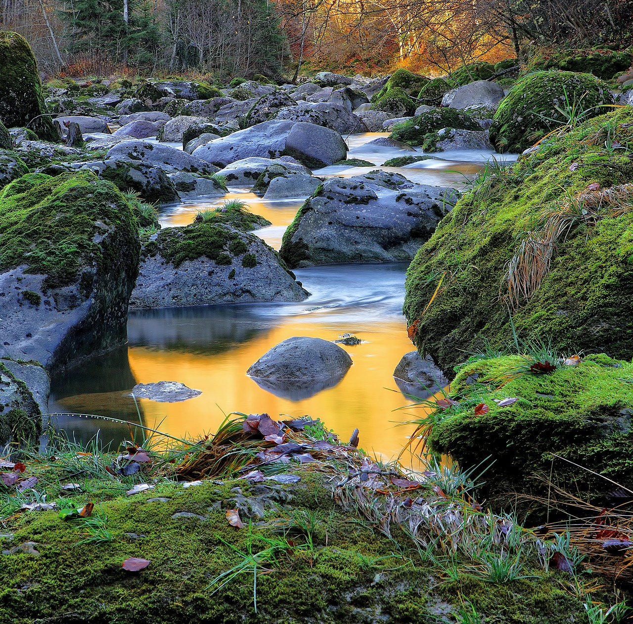 river water rocks free photo