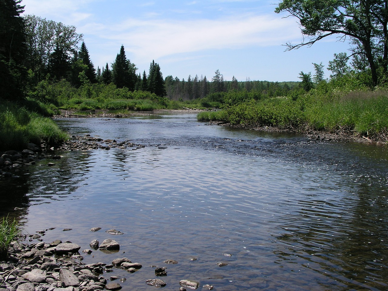 river stream water free photo