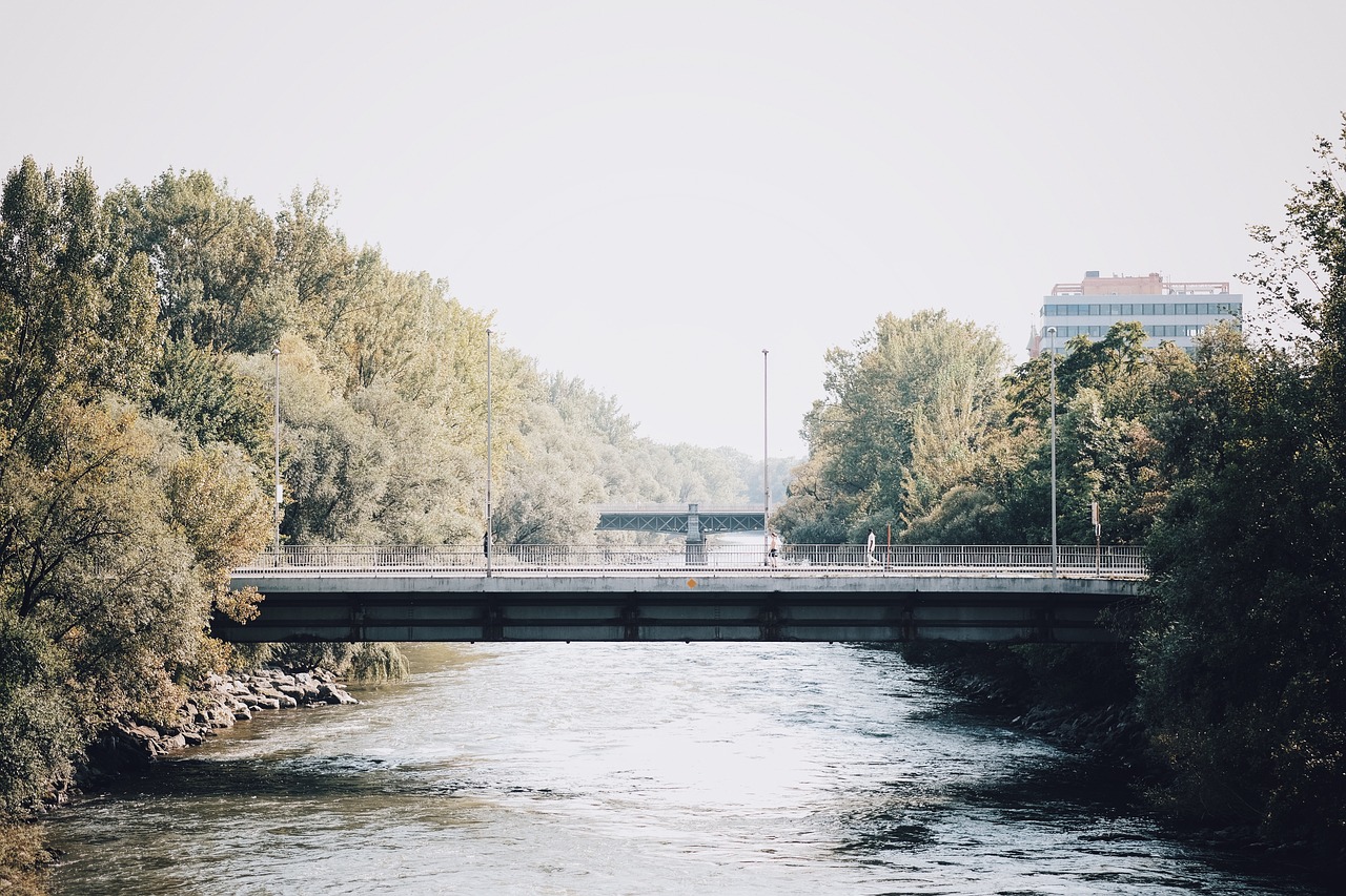 river water tree free photo