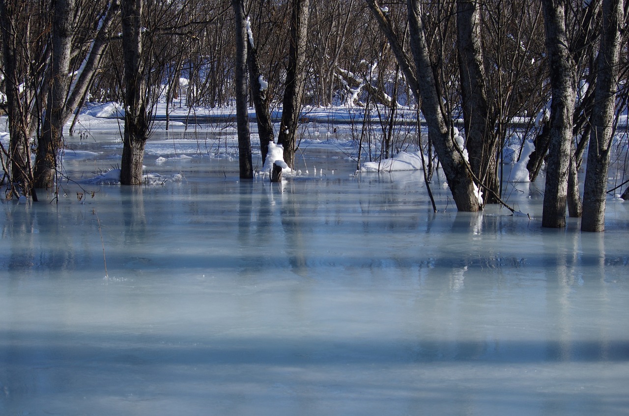 river back on track bend free photo