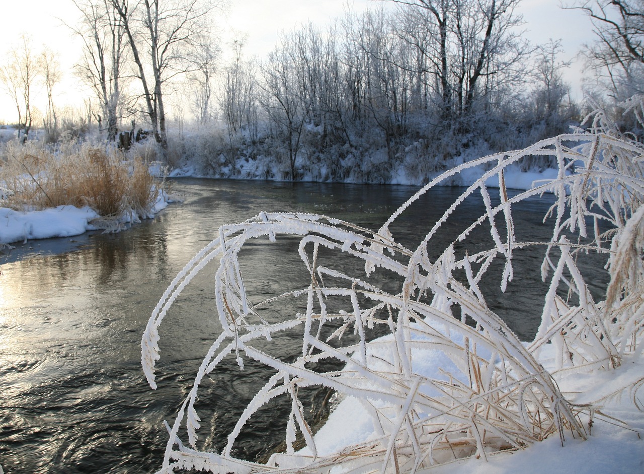 river back on track bend free photo