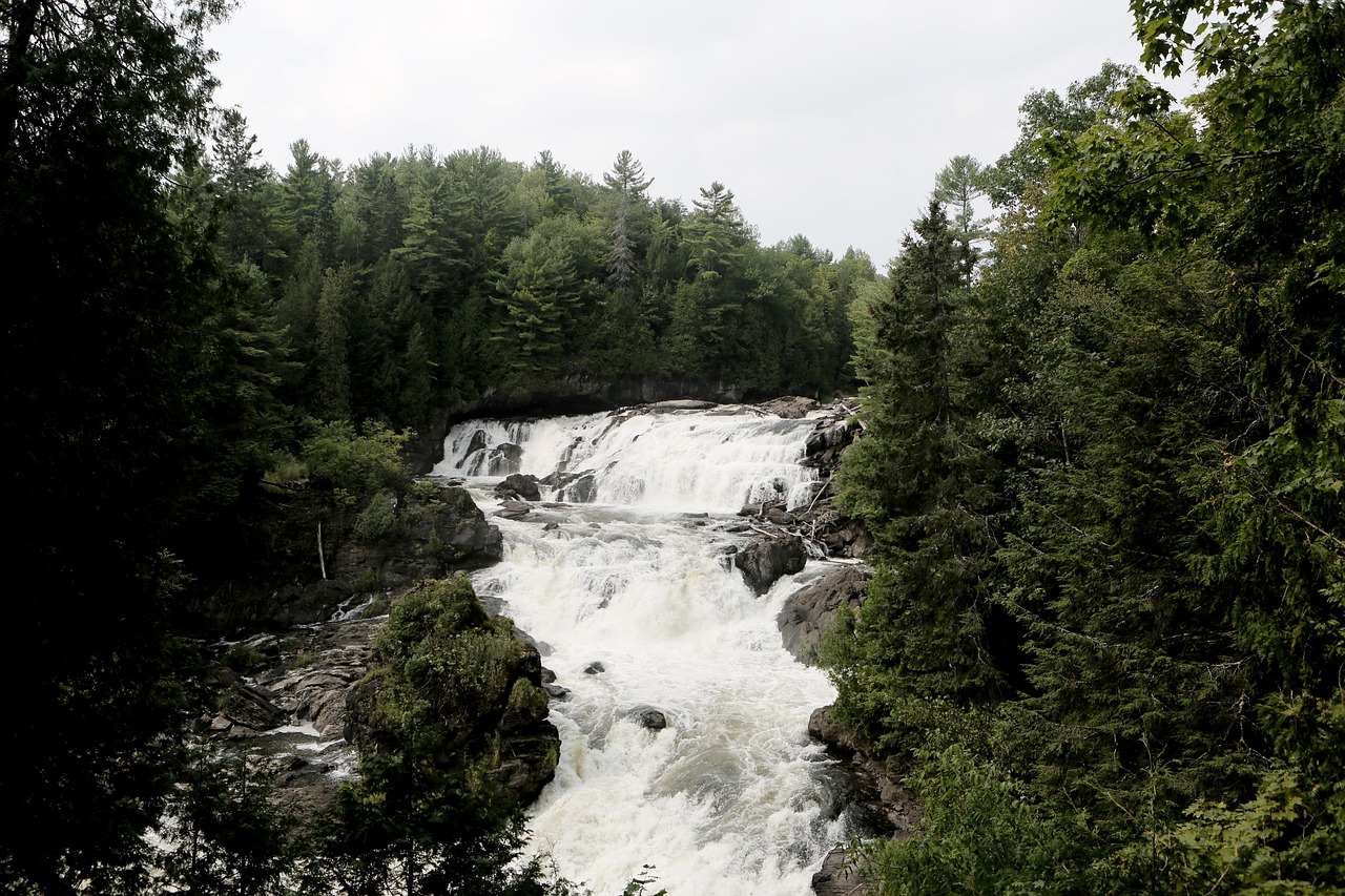 river stream water free photo