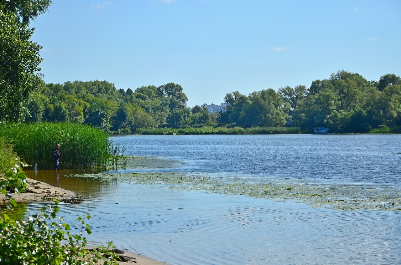 river summer river bank free photo