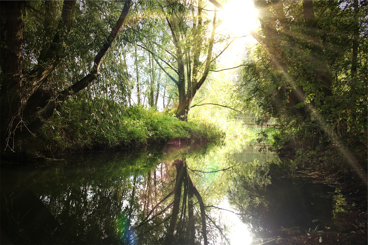 river water reflection free photo