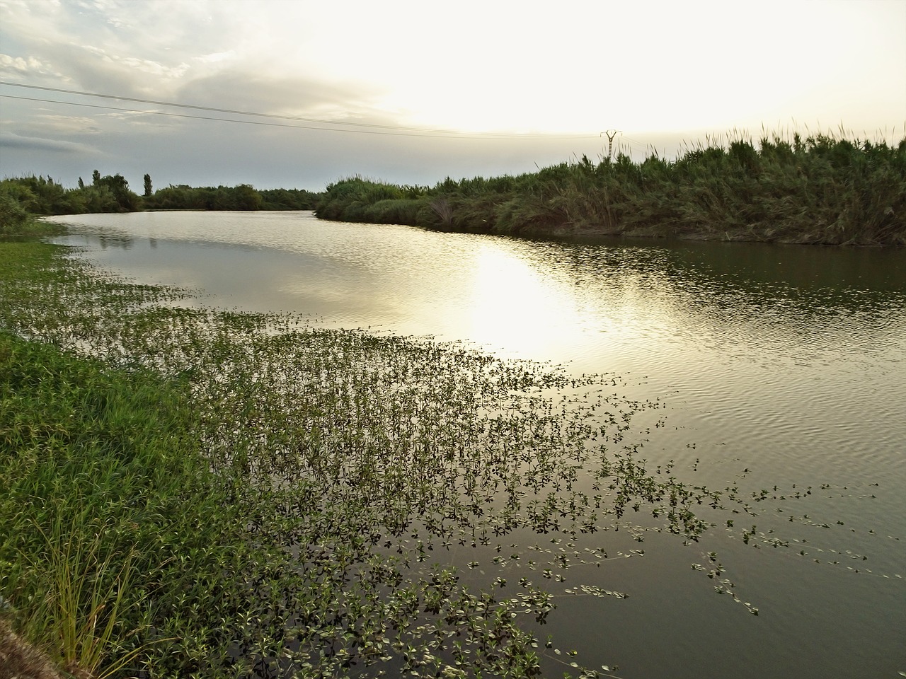 river shore river shore free photo