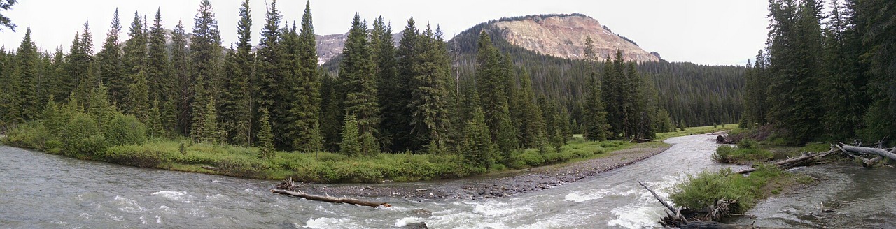 river yellowstone park national free photo