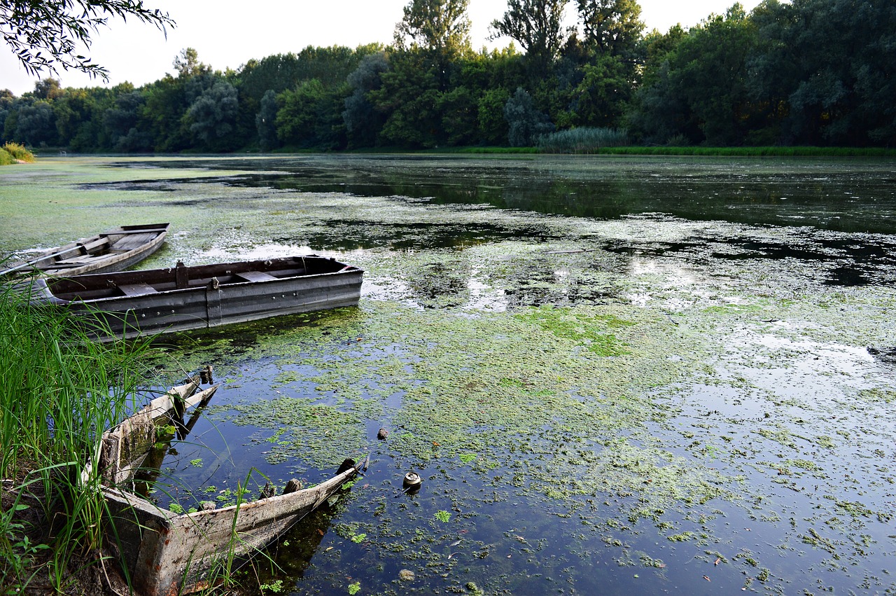 river water danube free photo