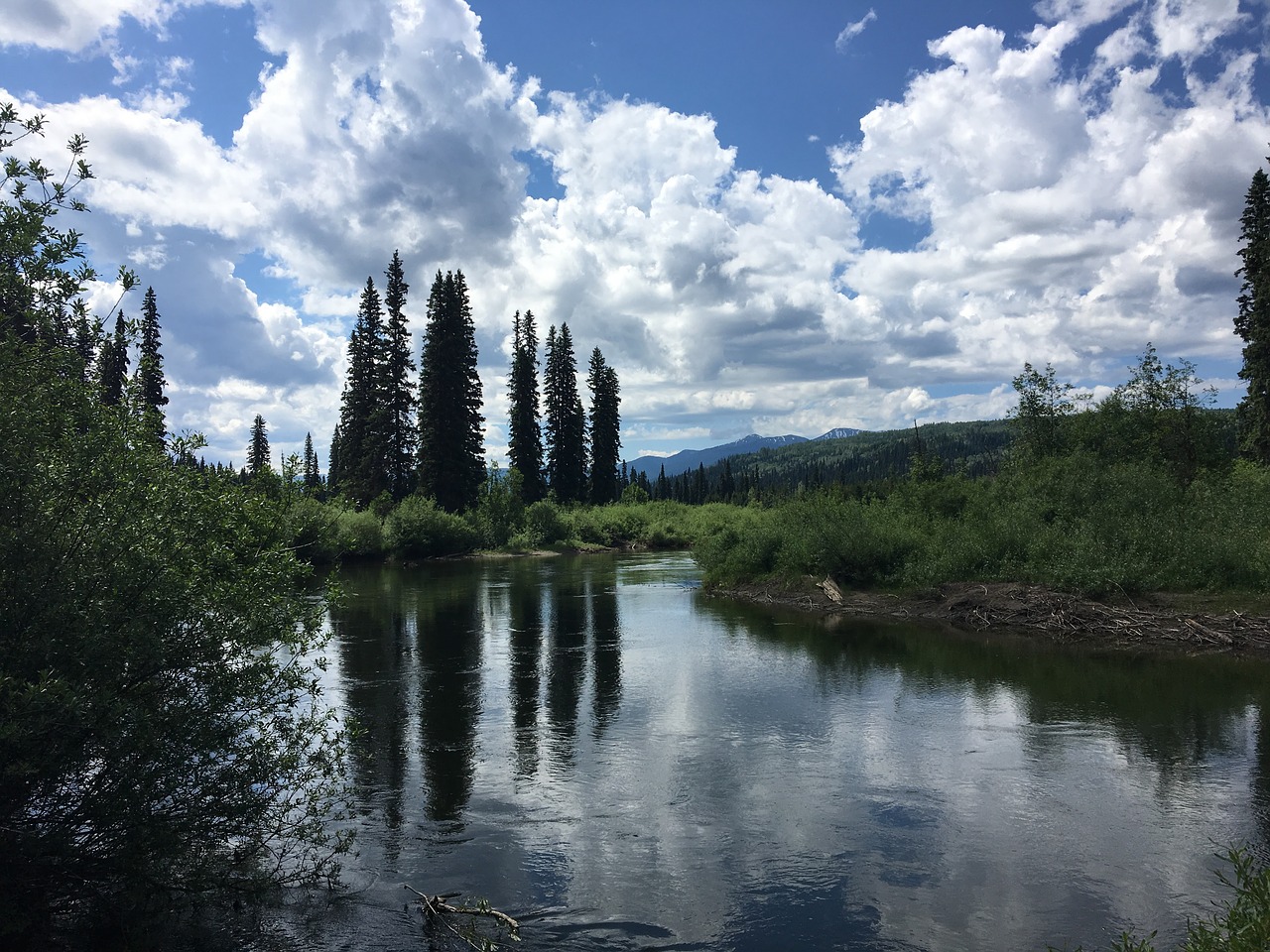 river nature reflection free photo