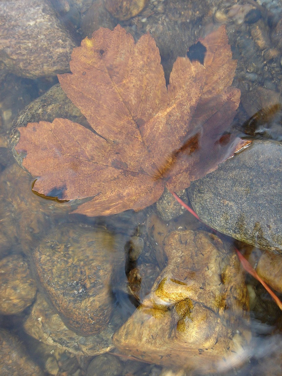 river water sheet free photo