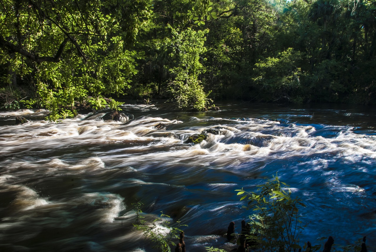 river rapids hillsborough free photo