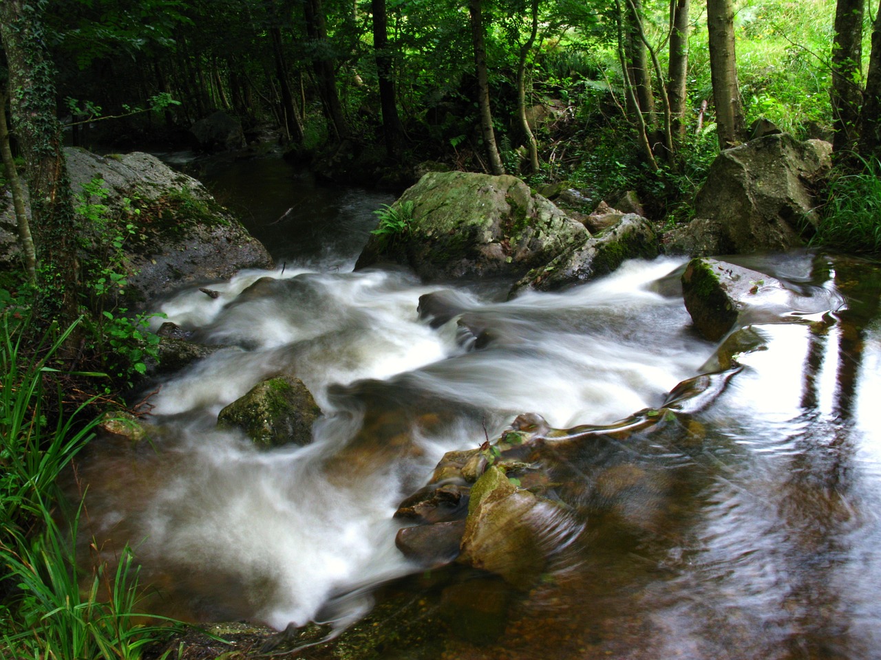 river stream current free photo