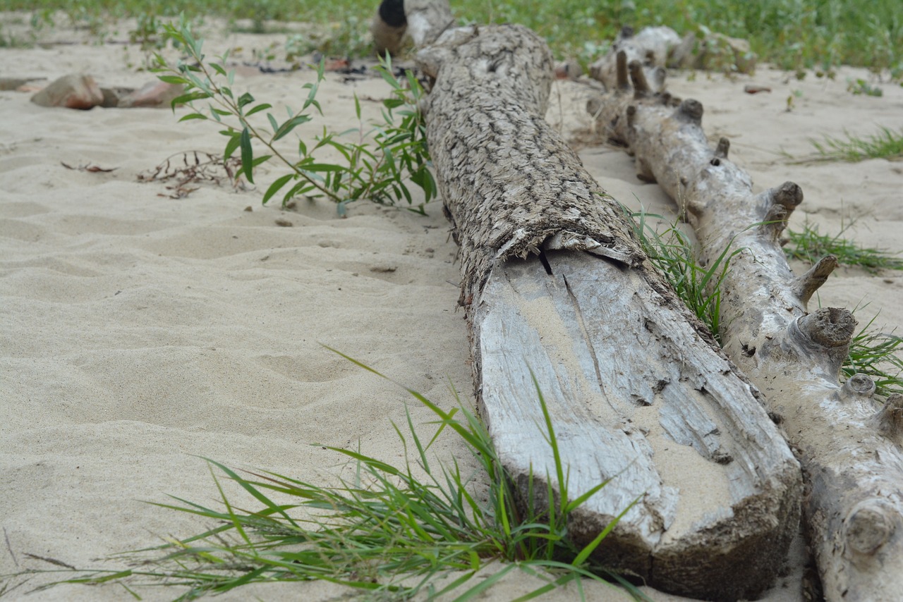 river beach water free photo