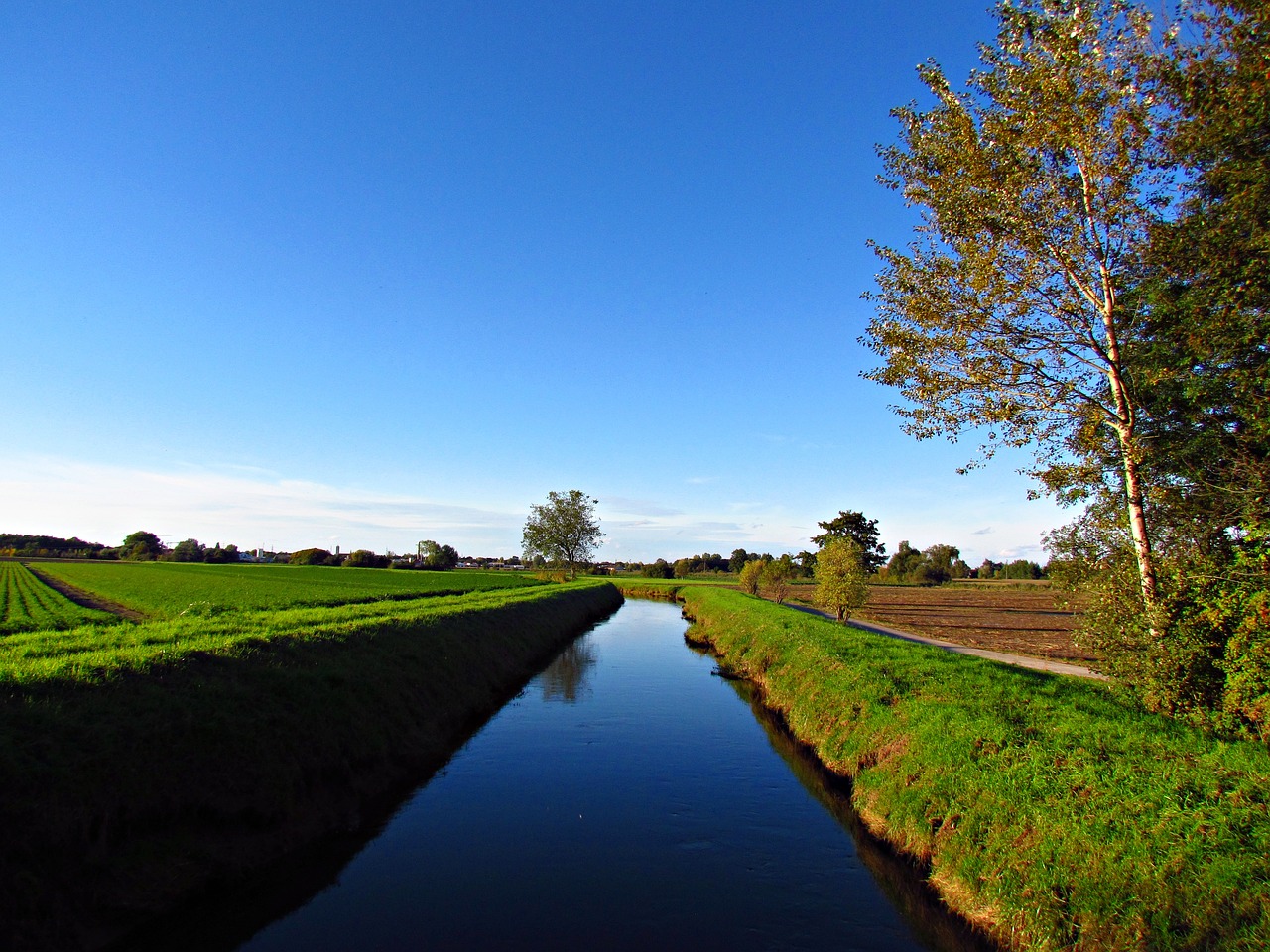 river field the brook free photo