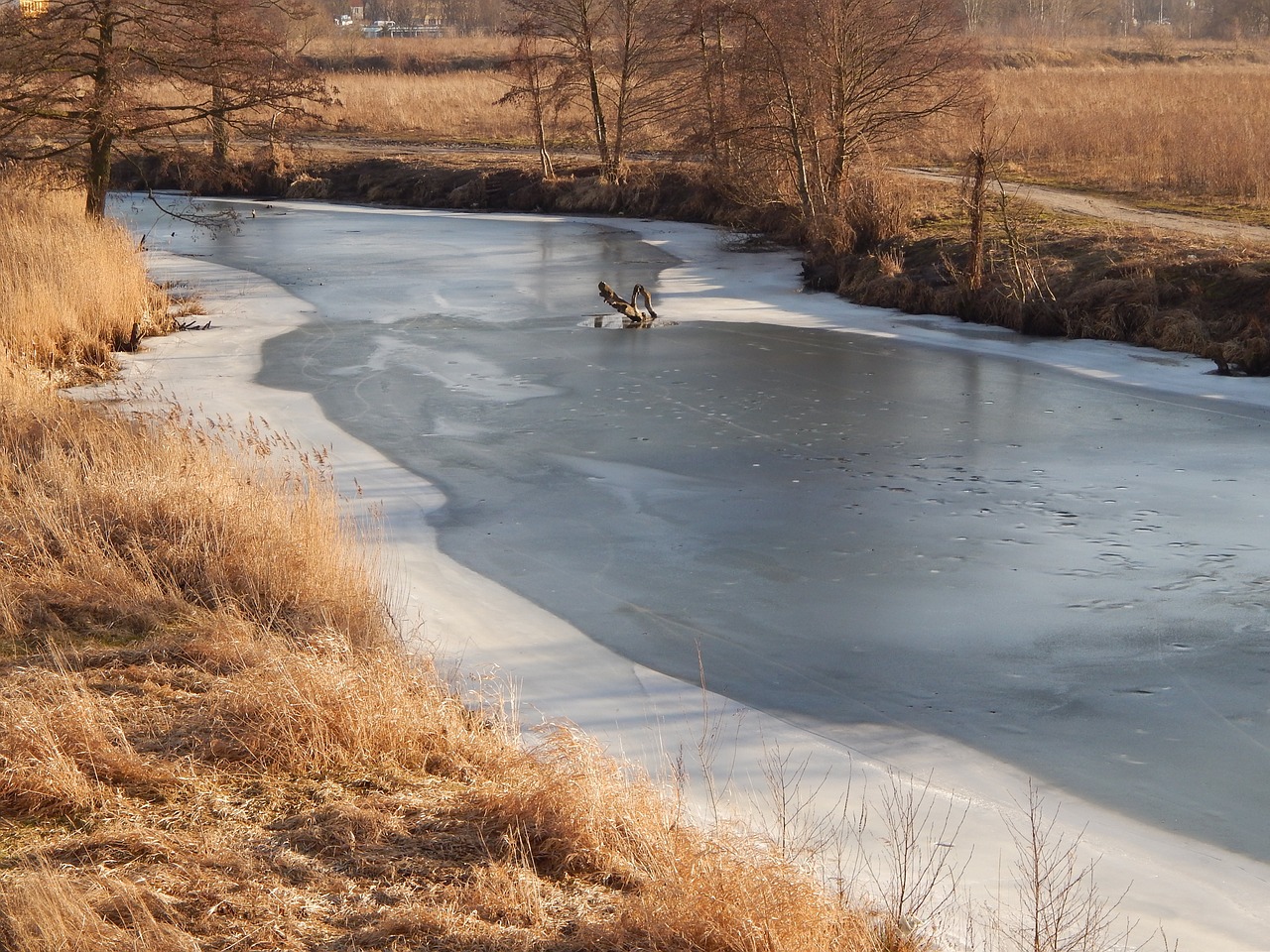 river ice frozen river free photo