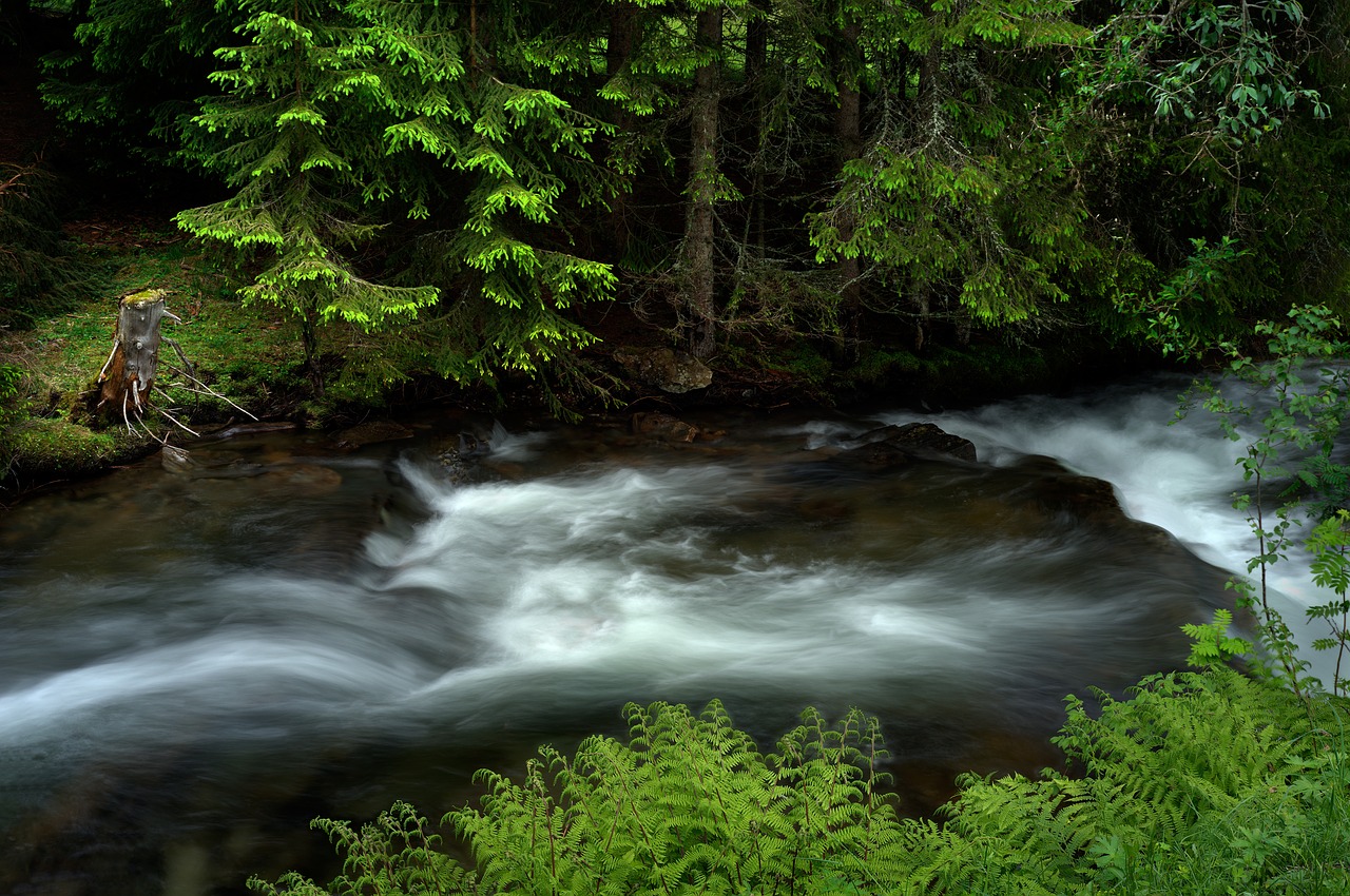 river water stream free photo