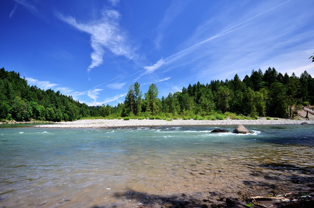 river water trees free photo