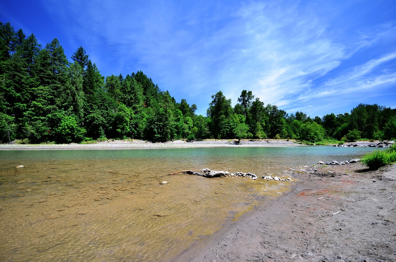 river water trees free photo