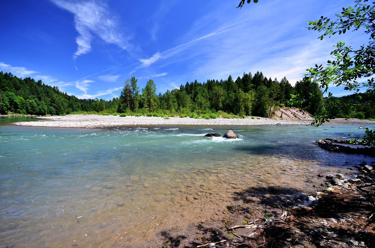 river water trees free photo