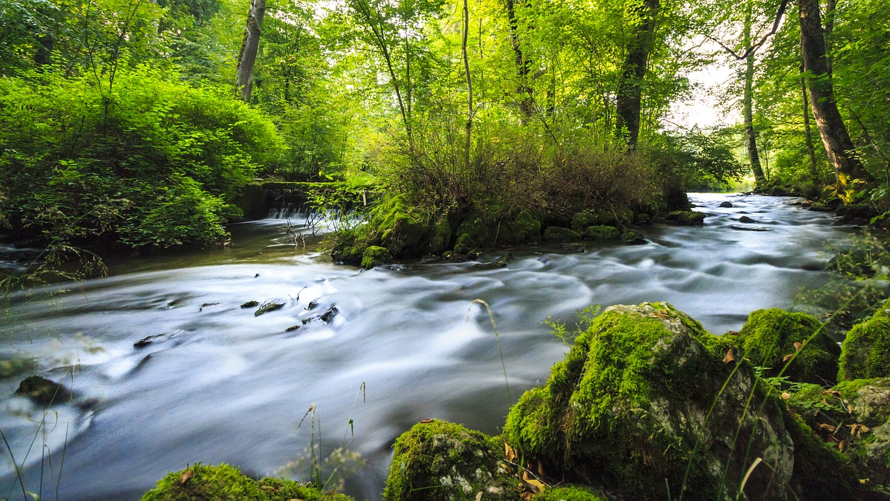 river krauchenwies prince park free photo