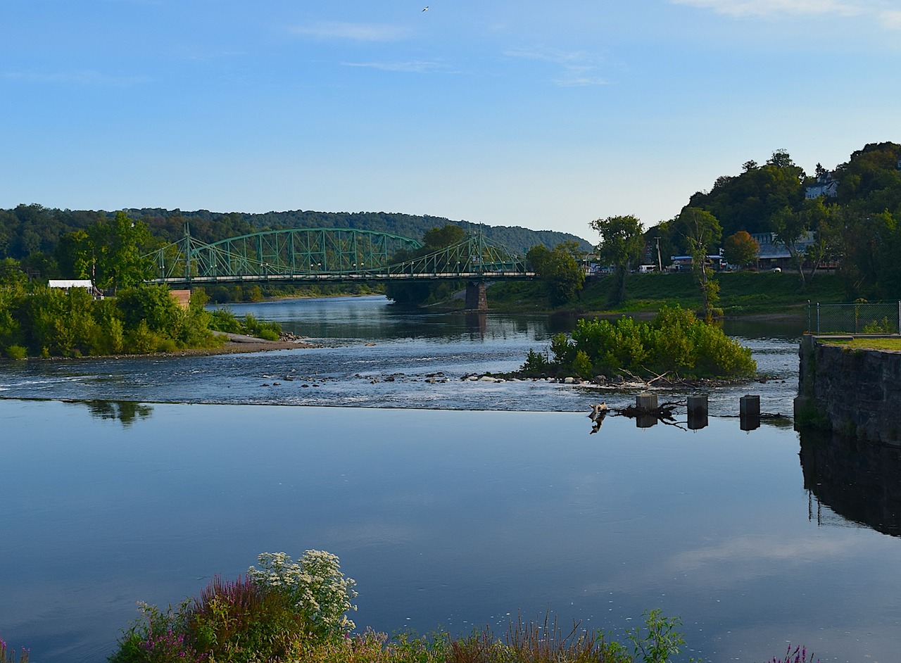 river bridge trees free photo