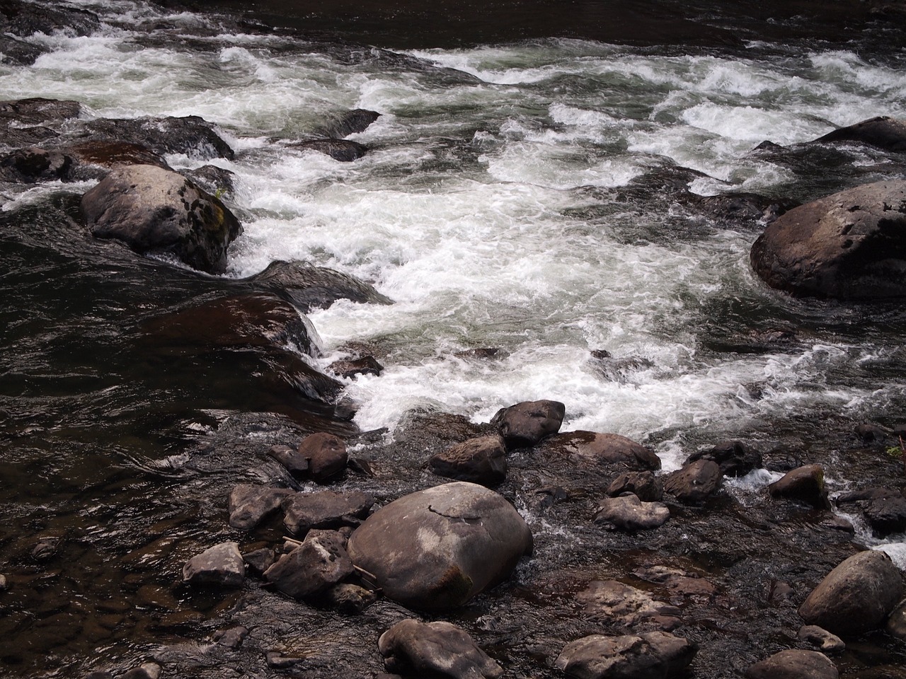 river stream water free photo