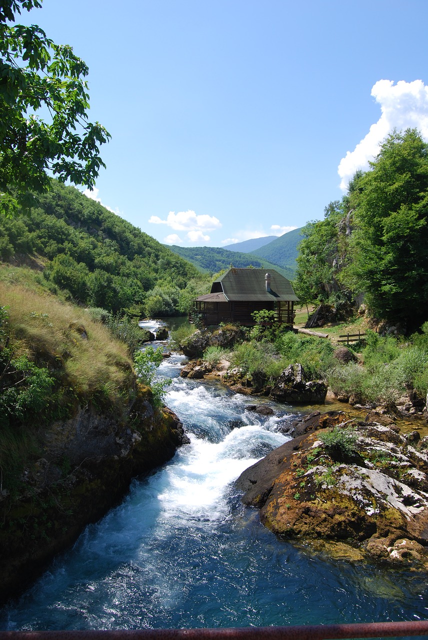 river nature forest free photo