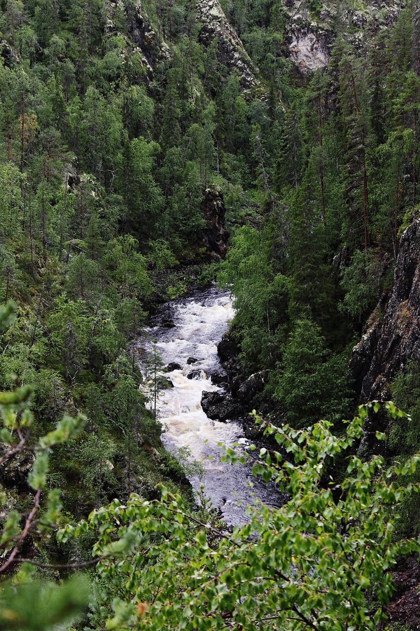 river threshold forest free photo