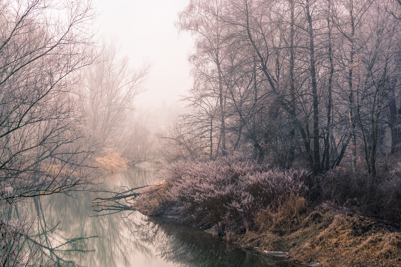 river the fog water free photo