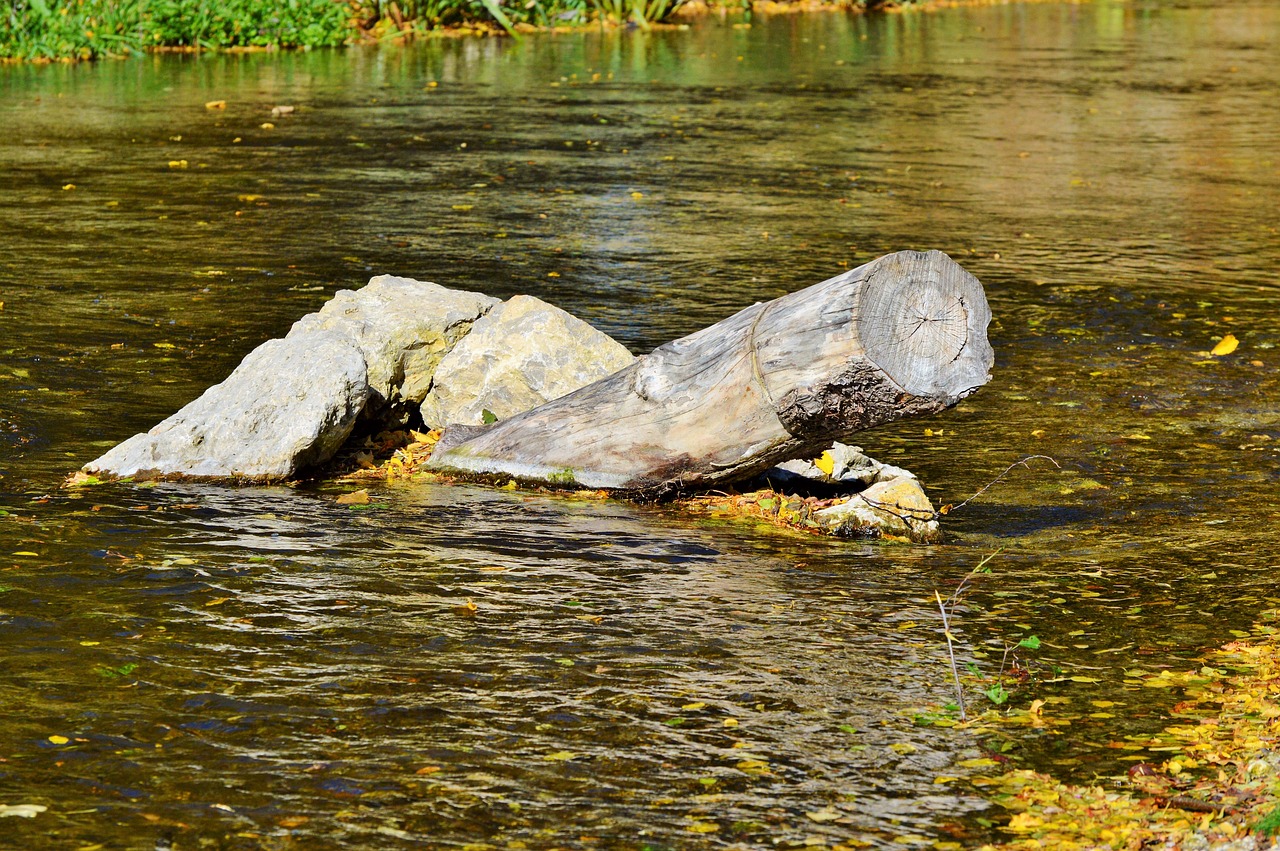 river drift wood water free photo