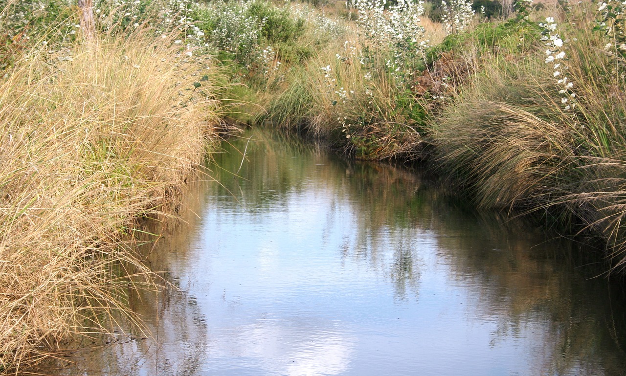 river country reflection free photo