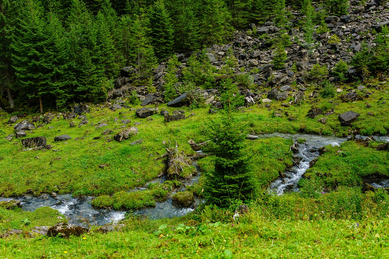 river diemtigtal switzerland free photo