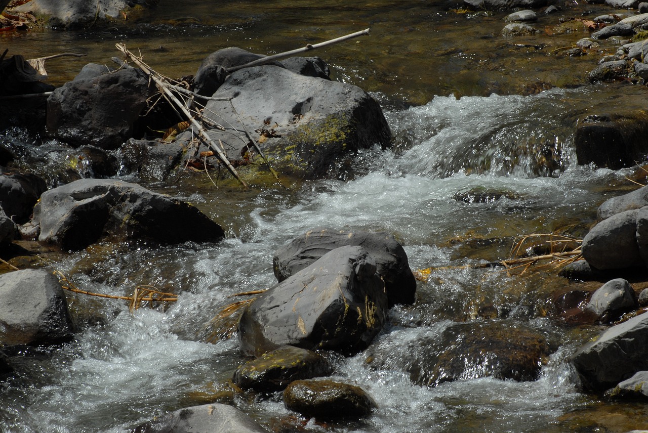 river water landscape free photo