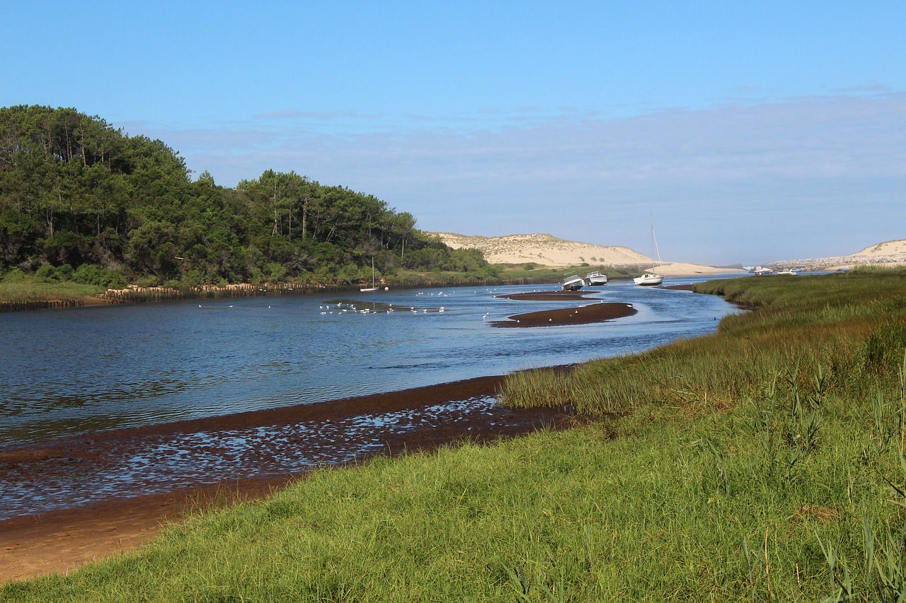 river boat water courses free photo