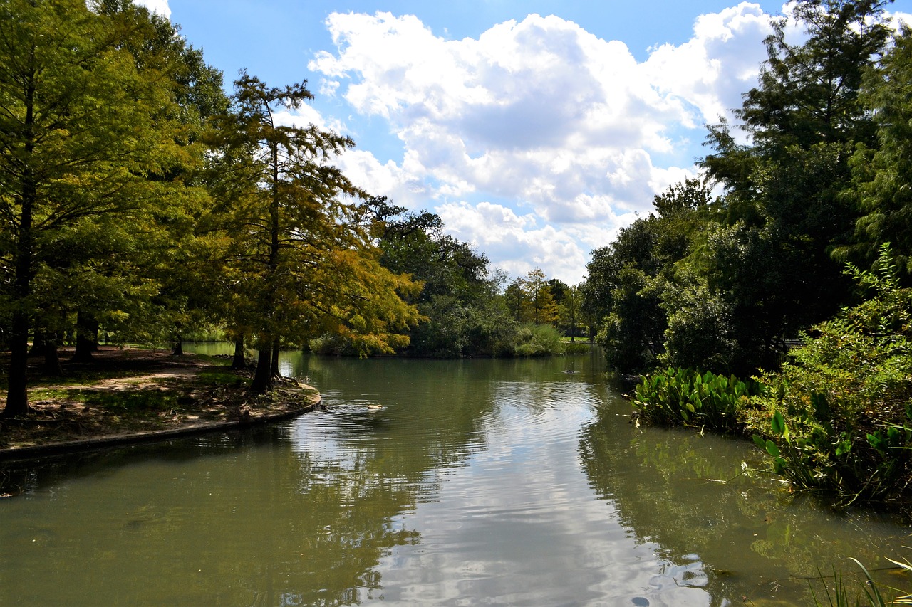 Река под прямым углом. Хьюстон река. Прямая река. Парк облачно. The Woodlands Texas.