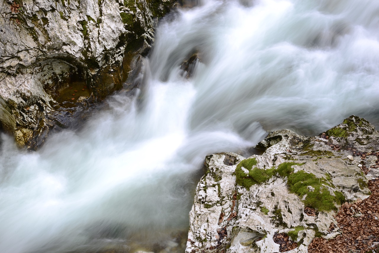 river stone clammy free photo