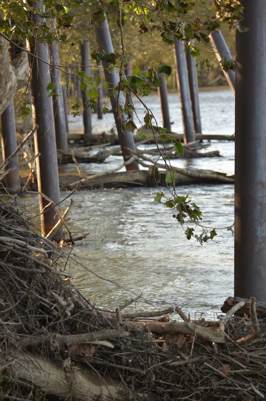 river banks nature free photo