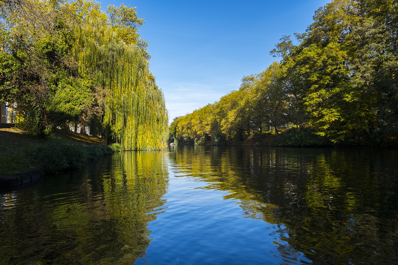 river water neckar free photo