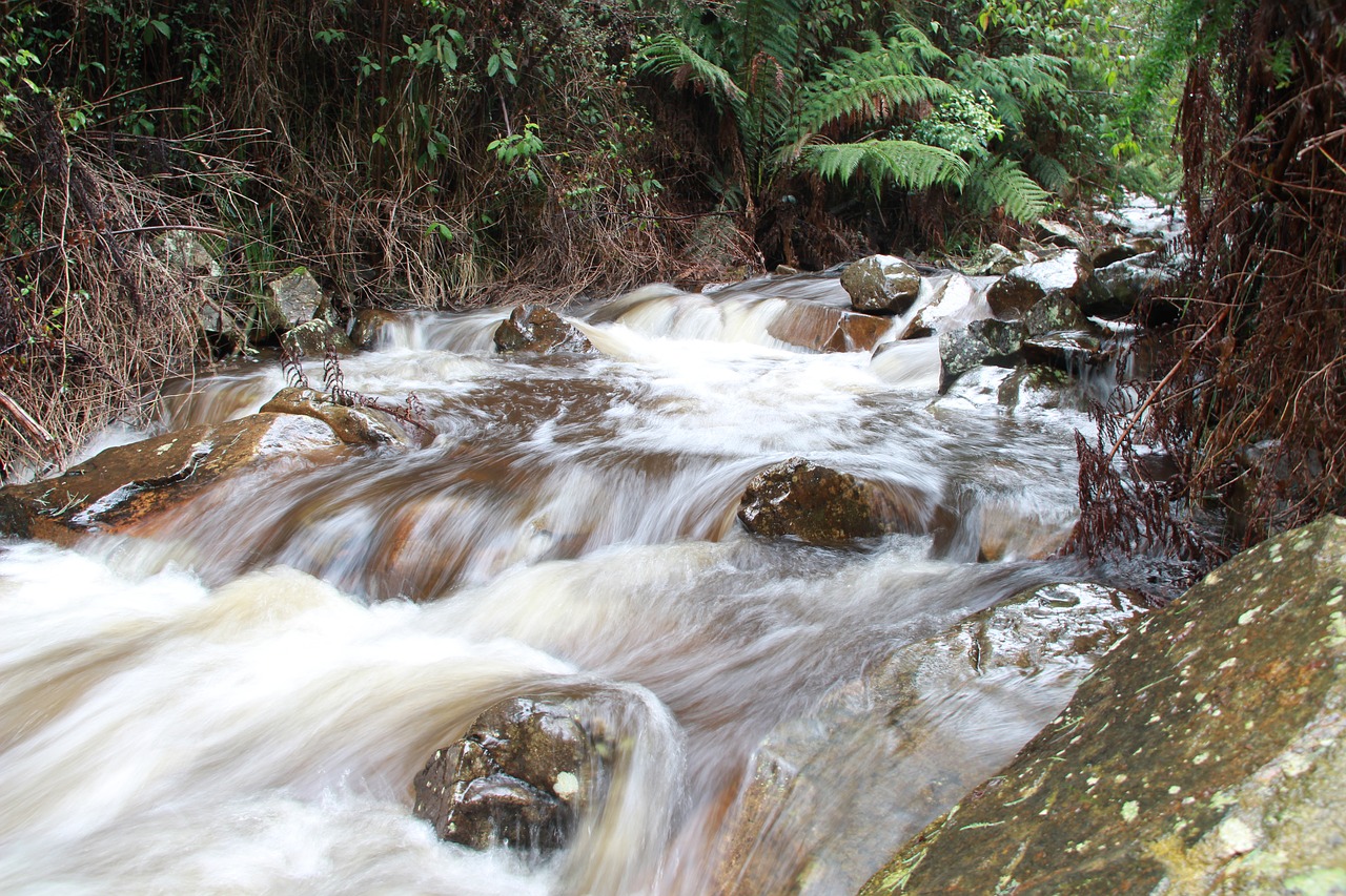 river gushing running free photo