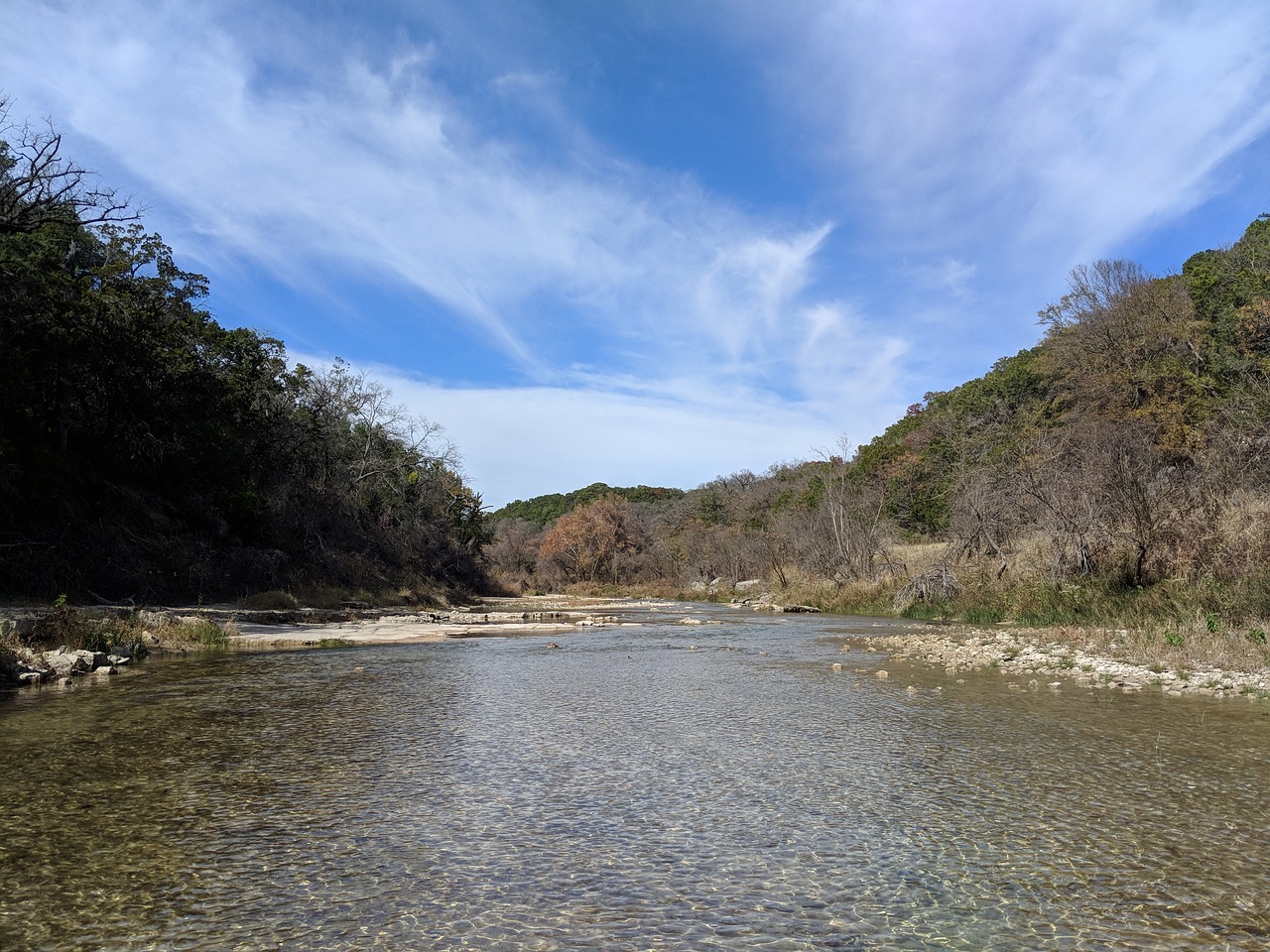 river trees water free photo