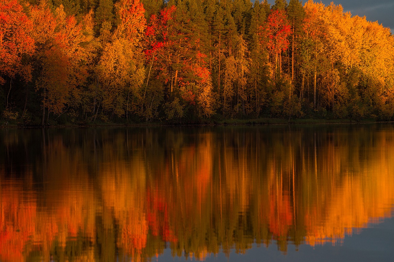 river autumn forest free photo