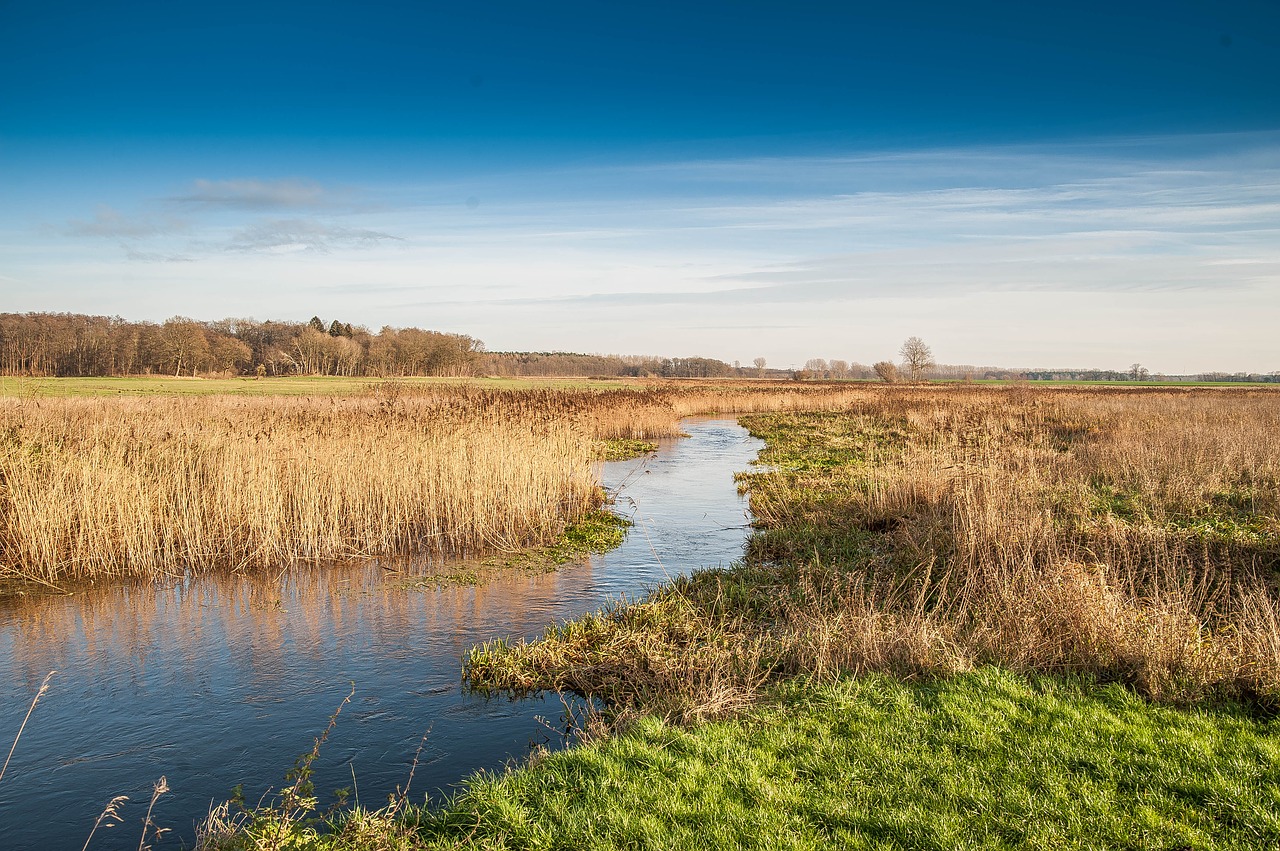 river auen landscape free photo